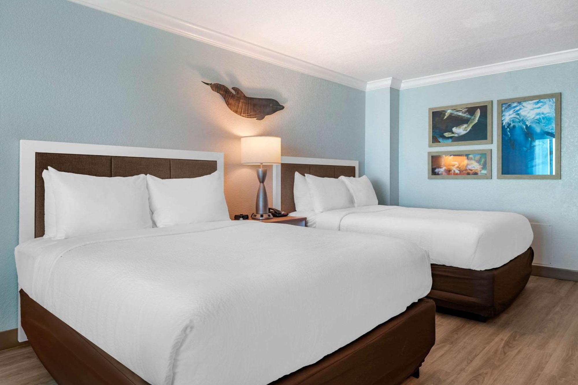 Winter The Dolphin'S Beach Club, Ascend Hotel Collection Clearwater Beach Exterior foto