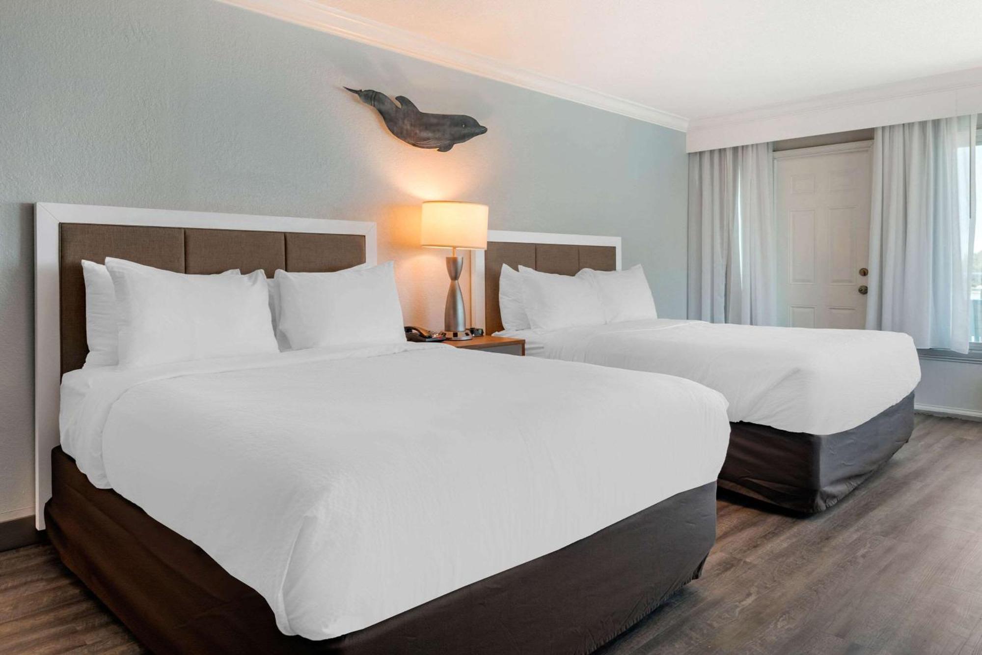 Winter The Dolphin'S Beach Club, Ascend Hotel Collection Clearwater Beach Exterior foto