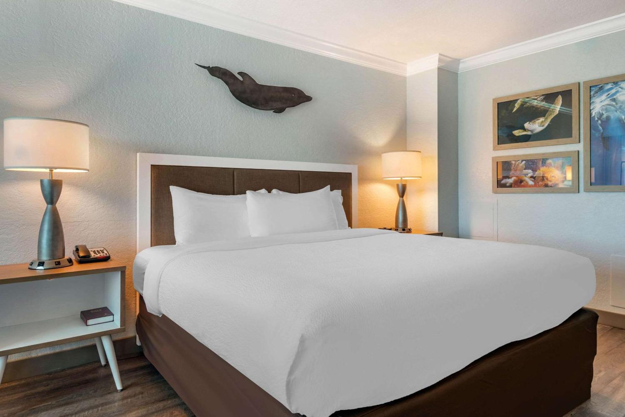 Winter The Dolphin'S Beach Club, Ascend Hotel Collection Clearwater Beach Exterior foto