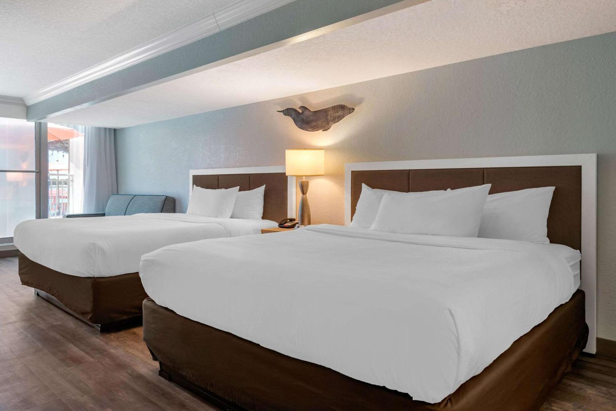 Winter The Dolphin'S Beach Club, Ascend Hotel Collection Clearwater Beach Exterior foto