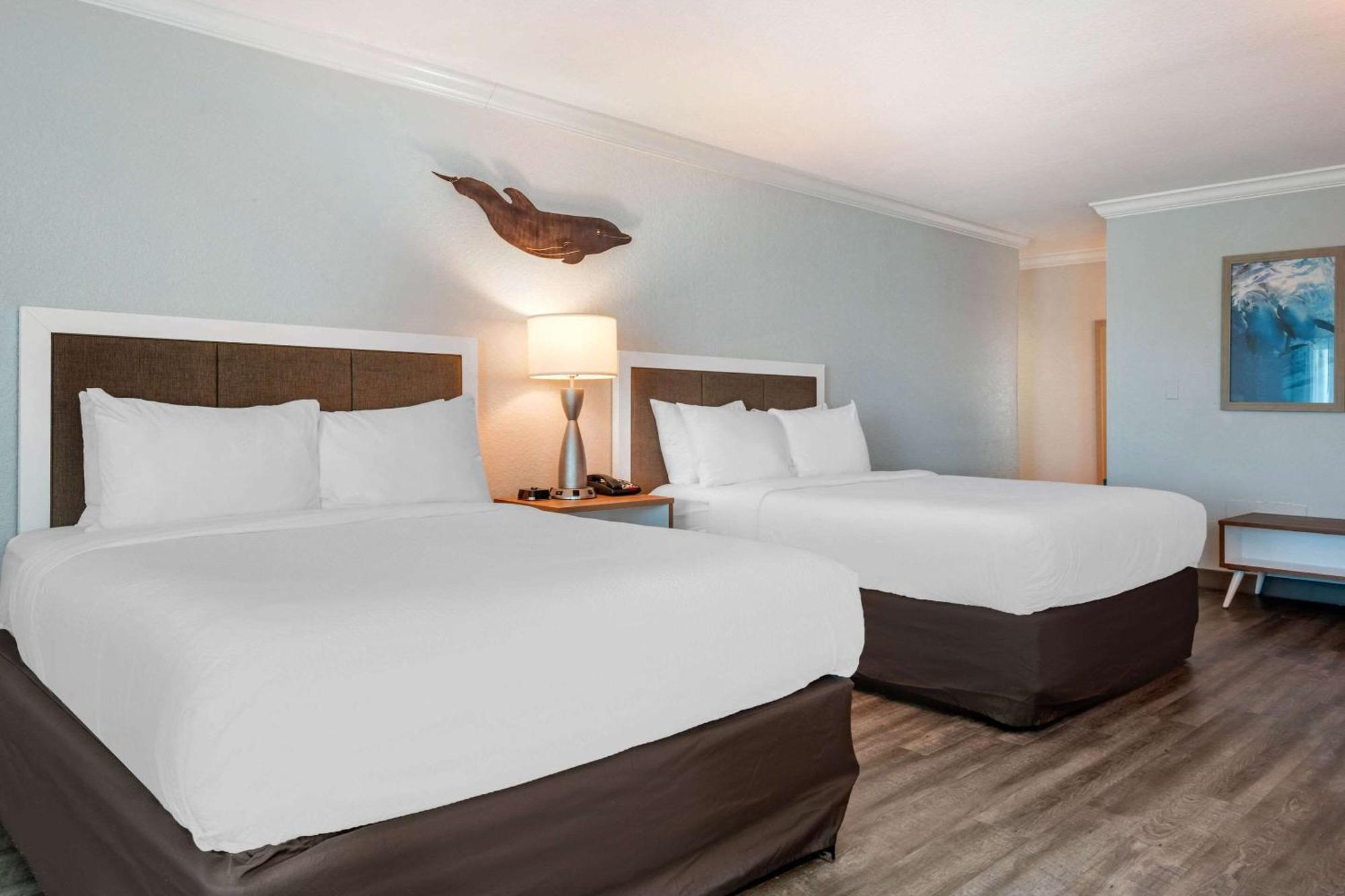 Winter The Dolphin'S Beach Club, Ascend Hotel Collection Clearwater Beach Exterior foto