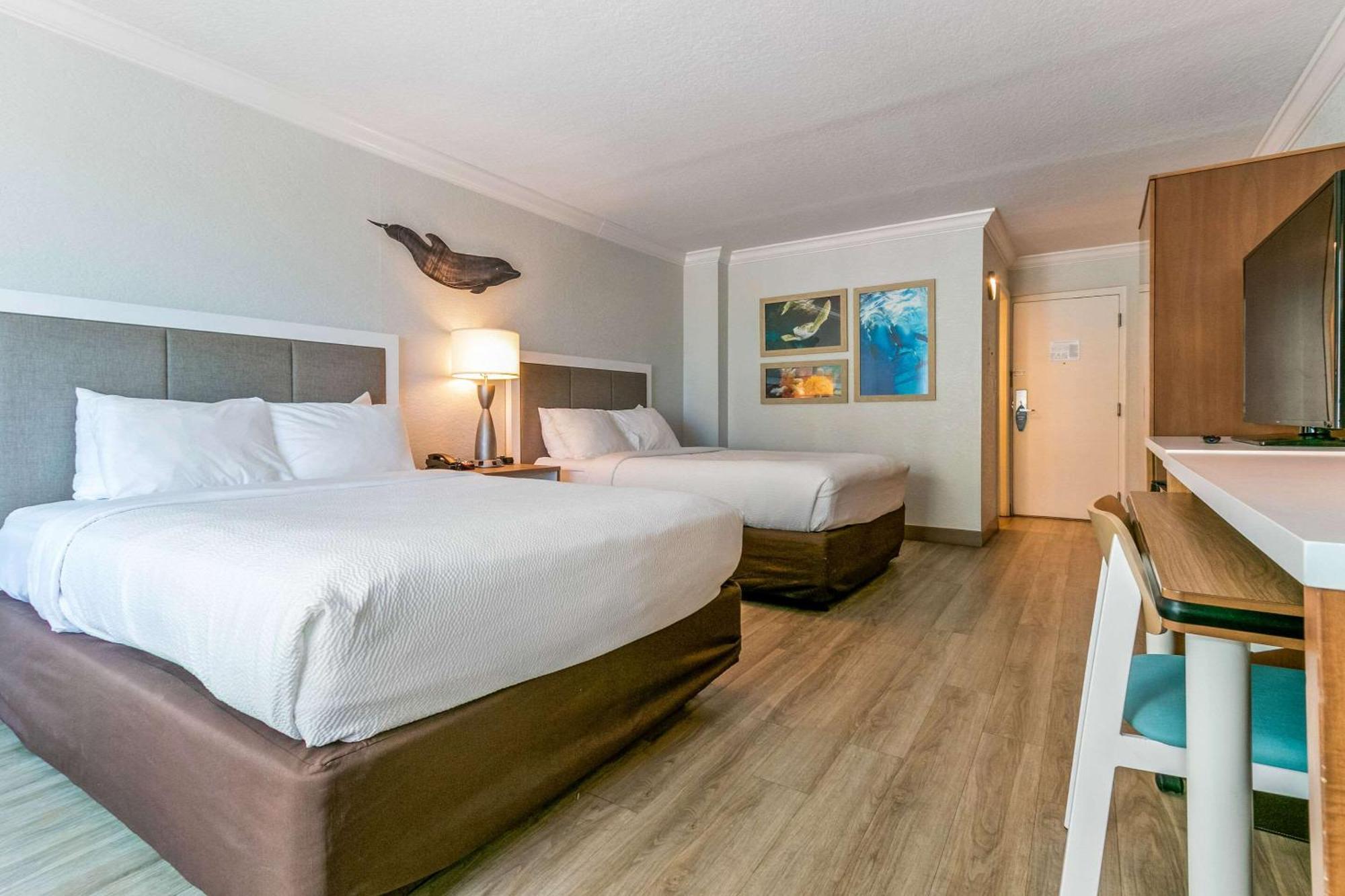 Winter The Dolphin'S Beach Club, Ascend Hotel Collection Clearwater Beach Exterior foto